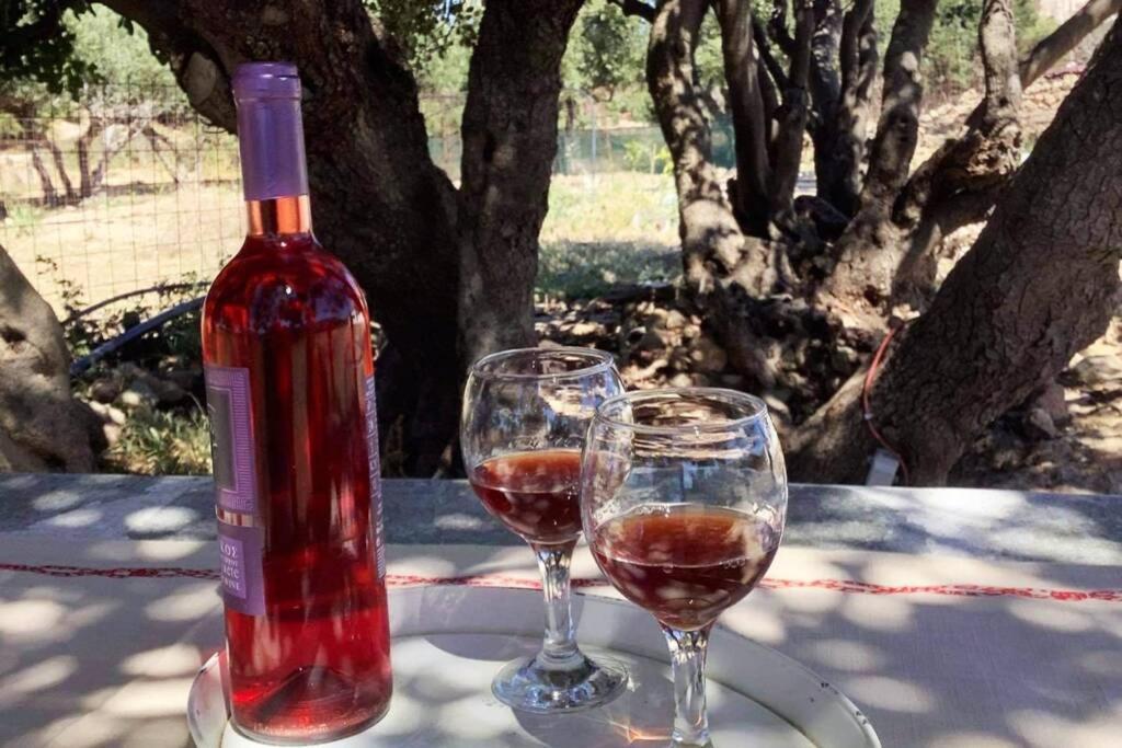 Haroupia Villa Elafonisi Bagian luar foto