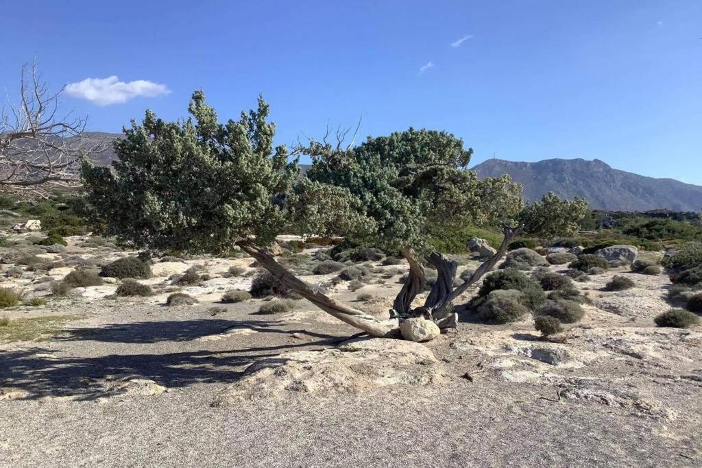 Haroupia Villa Elafonisi Bagian luar foto